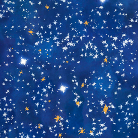 UP ON THE HOUSETOP  ©Marcello Corti for QT Fabrics