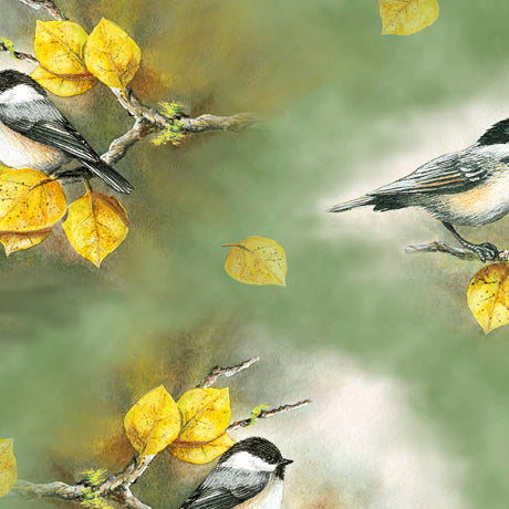 by the yard only Chickadees