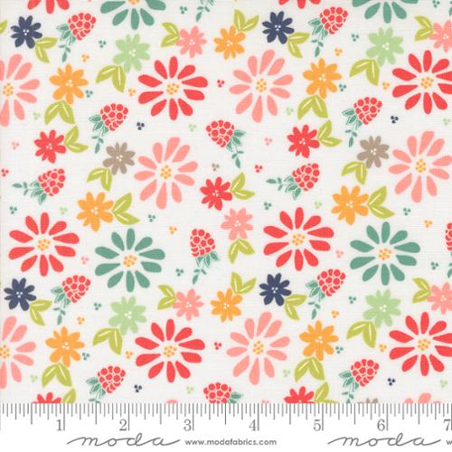 New 2025 Raspberry Summer fabric collection Sherri and Chelsi for Moda