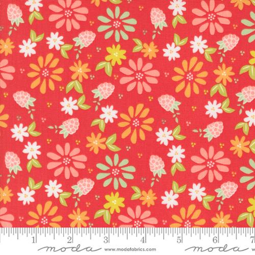 New 2025 Raspberry Summer fabric collection Sherri and Chelsi for Moda