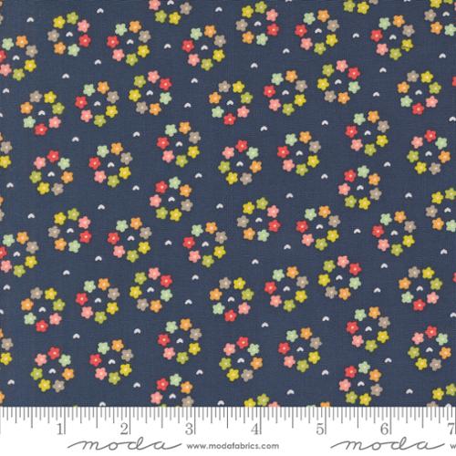 New 2025 Raspberry Summer fabric collection Sherri and Chelsi for Moda