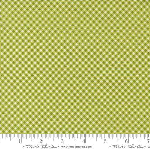 New 2025 Raspberry Summer fabric collection Sherri and Chelsi for Moda
