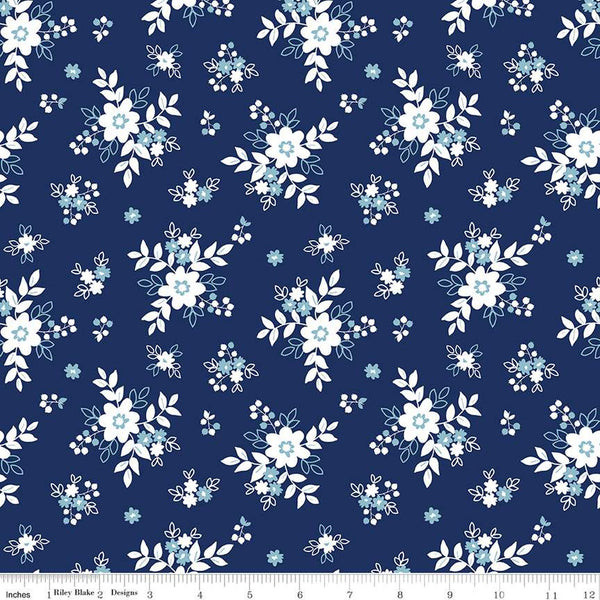 Simply Country Stars Collection by Tasha Noel for Riley Blake Fabrics