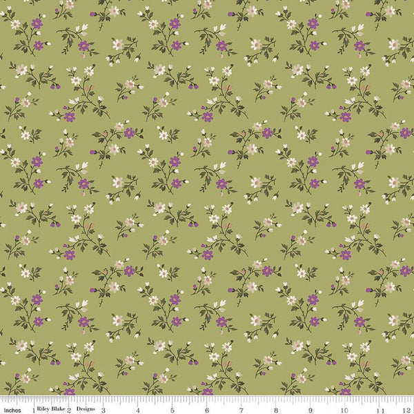 Anne of Green Gables™ collection for Riley Blake Fabrics