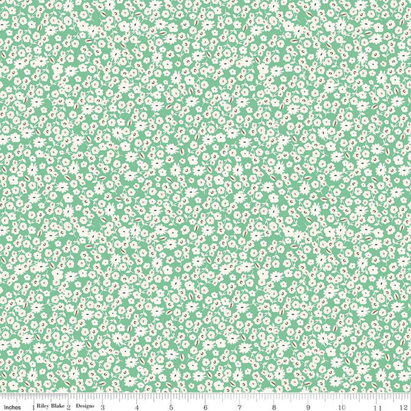 Spring Gardens by My Mind's Eye for Riley Blake Designs