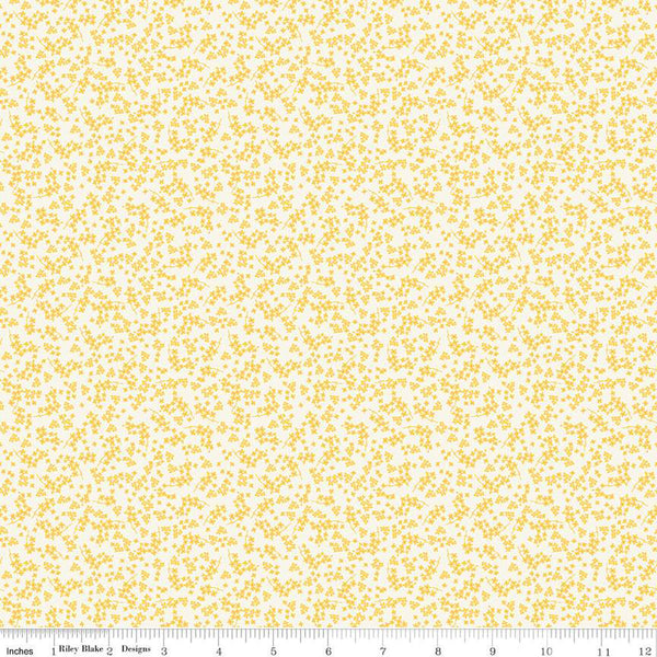 Spring Gardens by My Mind's Eye for Riley Blake Designs