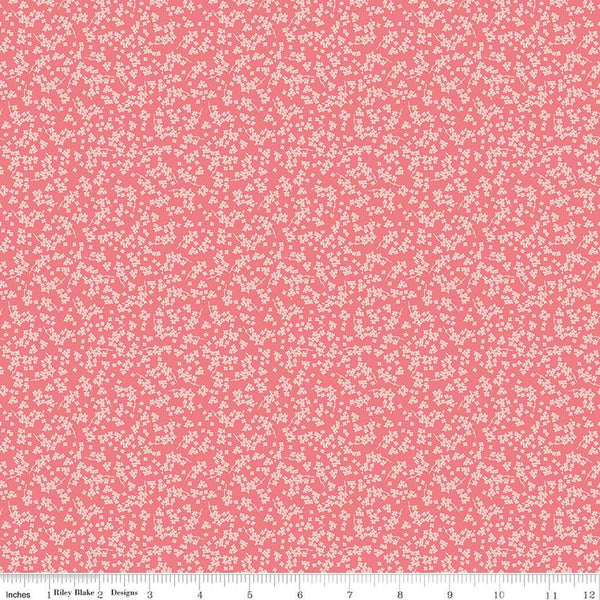Spring Gardens by My Mind's Eye for Riley Blake Designs