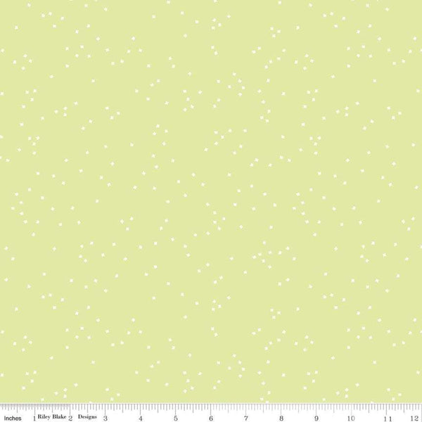 Blossom Collection  Riley Blake Designs