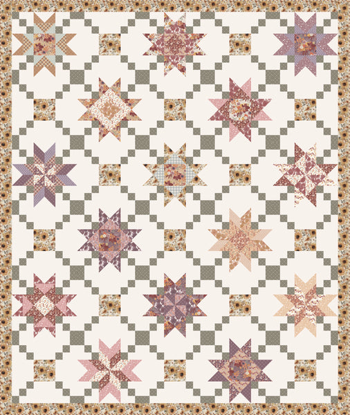 New 2025 Prairie Garden quilt kit Melissa Gilbert Modern Prairie 96" x 114"