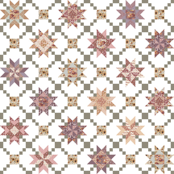 New 2025 Prairie Garden quilt kit Melissa Gilbert Modern Prairie 96" x 114"