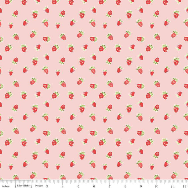 Strawberry Honey collection Riley Blake