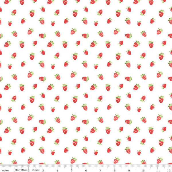Strawberry Honey collection Riley Blake