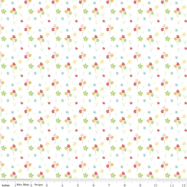 Strawberry Honey collection Riley Blake