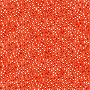 New 2025 Fruit Ladies Strawberry Seeds Red # 1504E-RED Elizabeth Studios