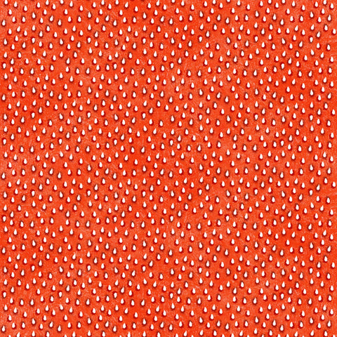 New 2025 Fruit Ladies Strawberry Seeds Red # 1504E-RED Elizabeth Studios
