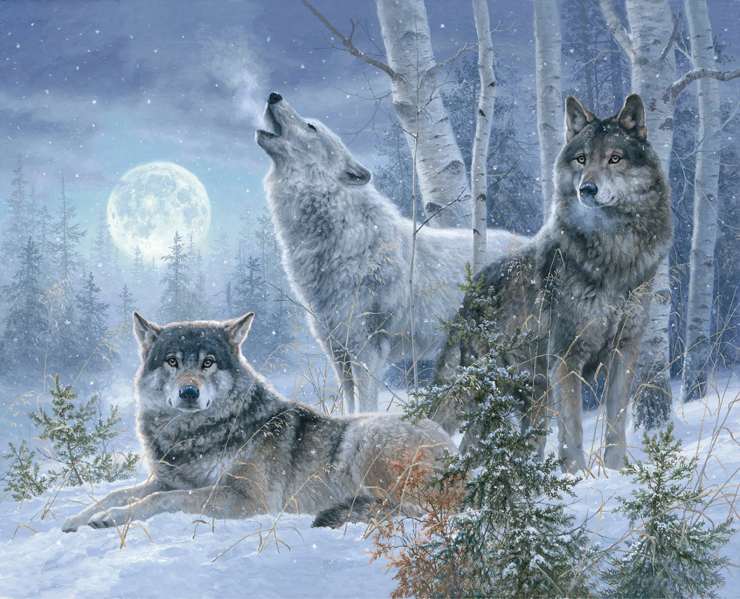 New 2025 Under The Moonlight by Abraham Hunter Collection