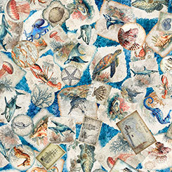 New 2026 Nauticus Collection  QT Fabrics