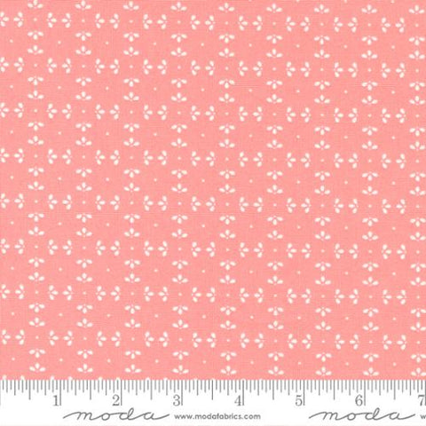 by the yard only Favorite Things fabric collection by Sherri & Chelsi for Moda