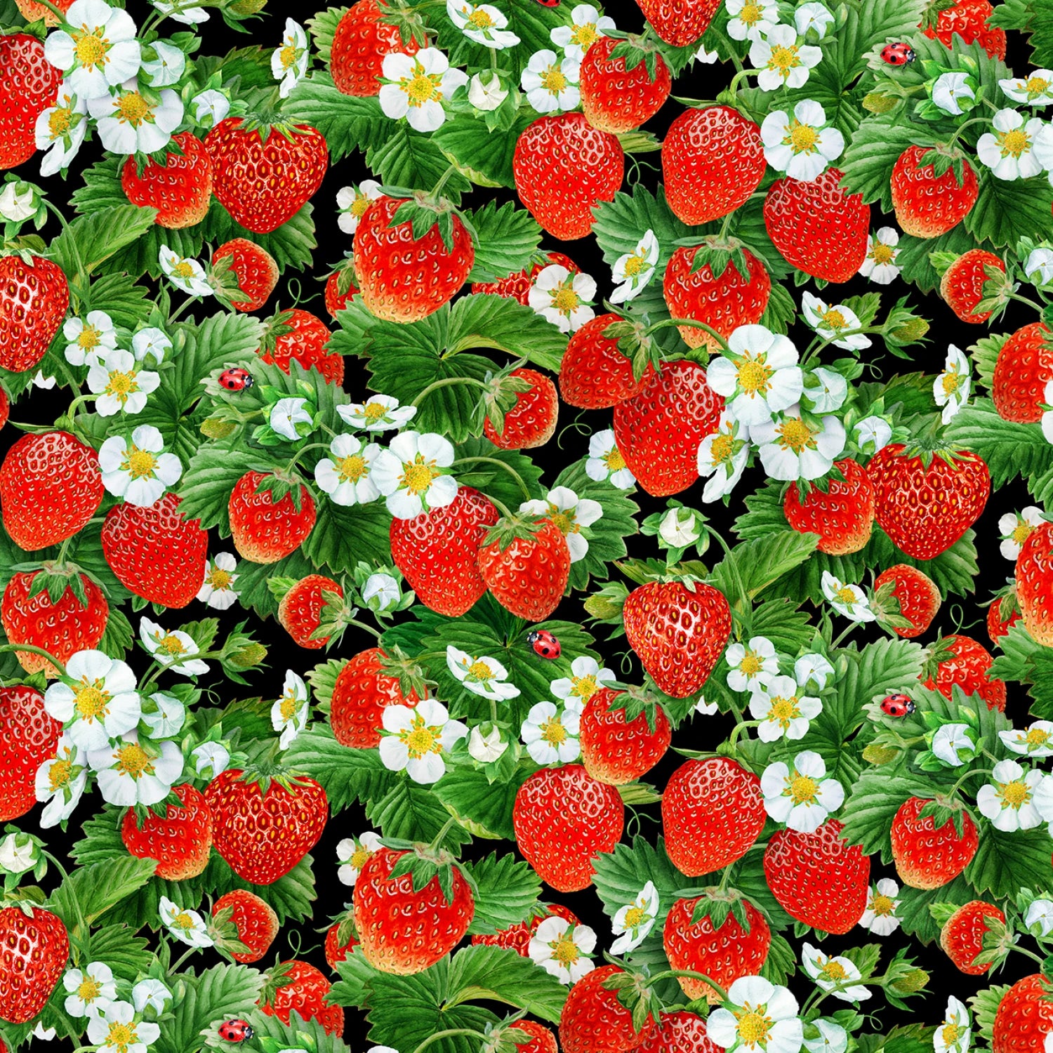 New 2025 Packed Strawberry Vines Black # 730E-BLACK
