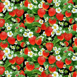 New 2025 Packed Strawberry Vines Black # 730E-BLACK