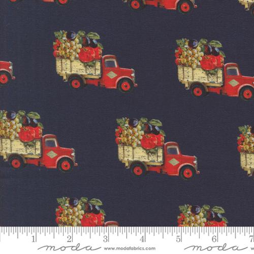New 2025 Farm and Garden Collection by Cathe Holden for Moda