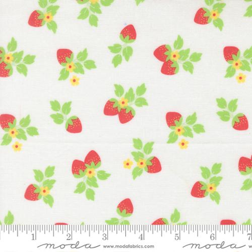 New 2026 Fruit Salad Collection Corey Yoder Moda Fabrics