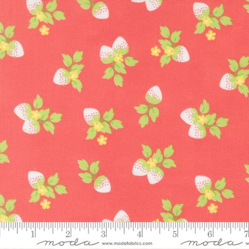 New 2026 Fruit Salad Collection Corey Yoder Moda Fabrics