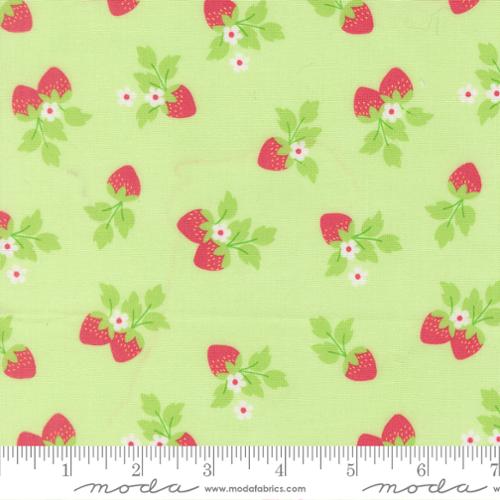New 2026 Fruit Salad Collection Corey Yoder Moda Fabrics