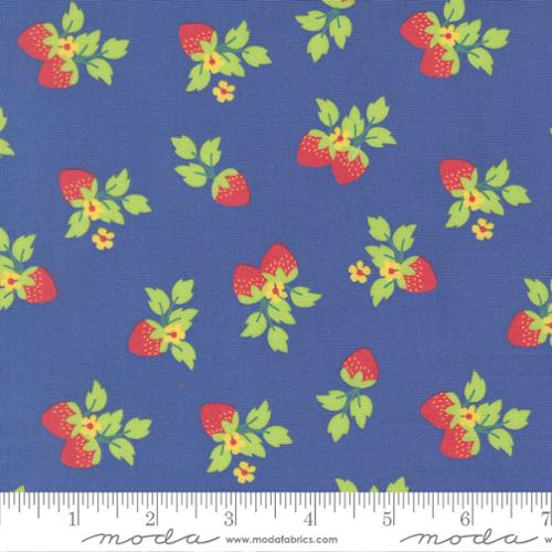 New 2026 Fruit Salad Collection Corey Yoder Moda Fabrics