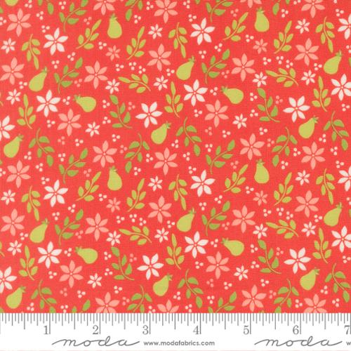 New 2026 Poinsettia and Pear Collection by Sheri & Chelsi Moda