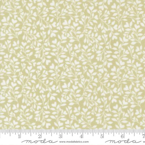 New 2026 Abide collection Moda