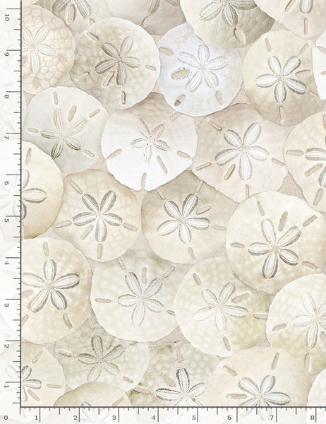 New 2025  Beacon of Light Collection Timeless Treasures