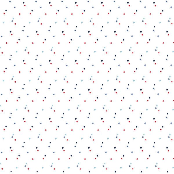 New 2026 Seasonal Basics Riley Blake Designs