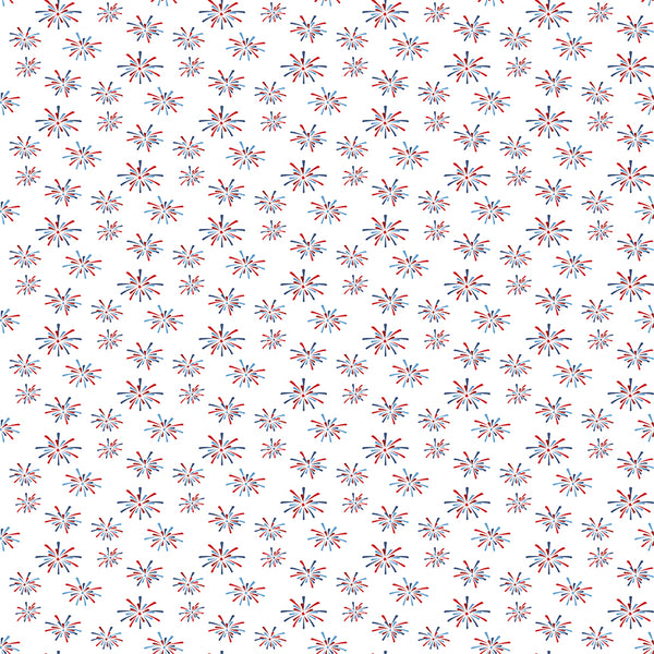 New 2026 Seasonal Basics Riley Blake Designs