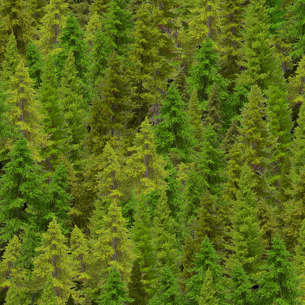 New 2025 Woodland Retreat Collection Timeless Treasures