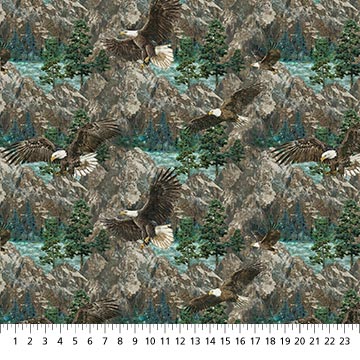 New 2025 Eagle Pass collection northcott Fabrics