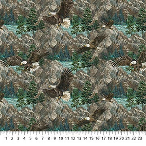 New 2025 Eagle Pass collection northcott Fabrics