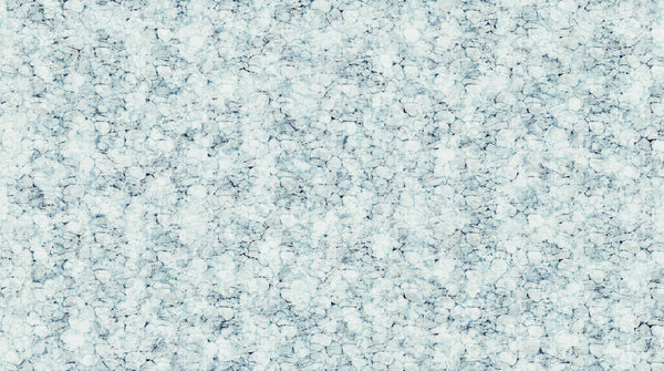 New 2025 Fox Den Collection Northcott fabrics
