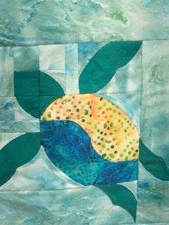 New 2025 Quilt Kit Turtle Trails 65.5" x 74.5"