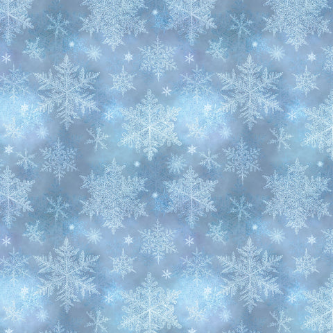 New 2025 Snowfall by Geetanjali Behera Collection