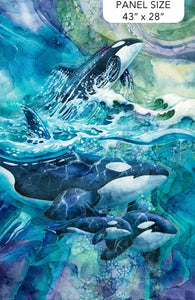 Whale Song Fabric Collection  By Deborah Edwards and Melanie Samra for Northcott